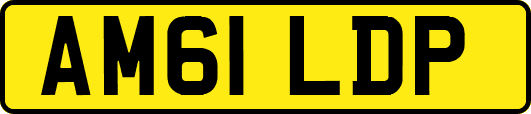 AM61LDP