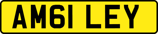 AM61LEY