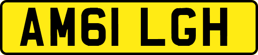 AM61LGH