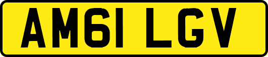 AM61LGV