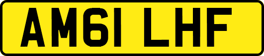 AM61LHF