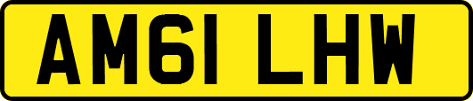 AM61LHW
