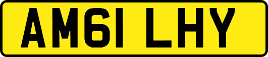 AM61LHY