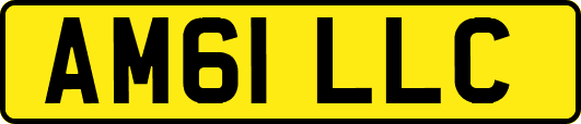 AM61LLC