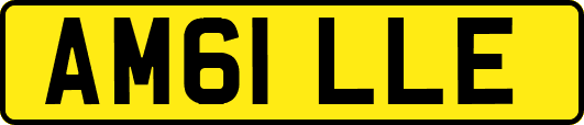 AM61LLE