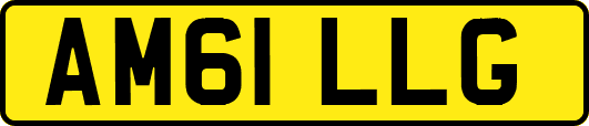AM61LLG