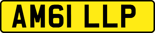 AM61LLP