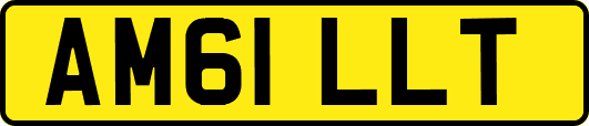AM61LLT