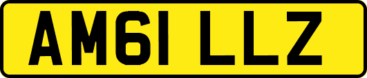 AM61LLZ