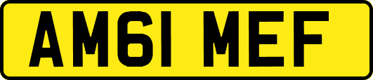 AM61MEF