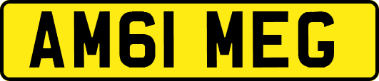 AM61MEG