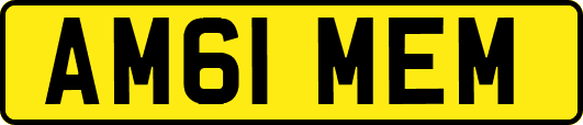 AM61MEM
