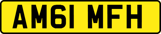 AM61MFH