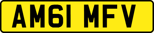 AM61MFV