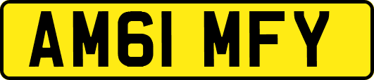 AM61MFY