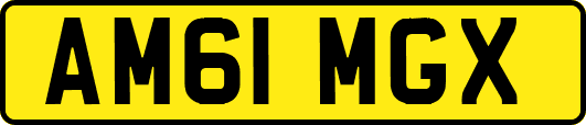 AM61MGX