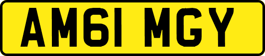AM61MGY