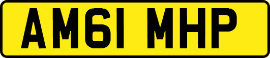 AM61MHP