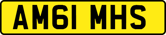 AM61MHS