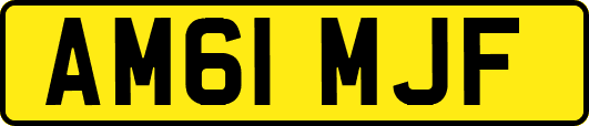 AM61MJF