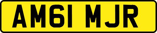 AM61MJR