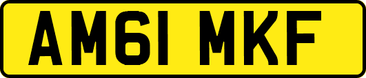 AM61MKF