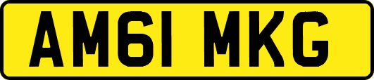 AM61MKG
