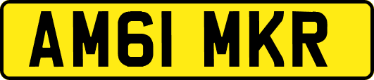 AM61MKR