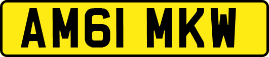 AM61MKW