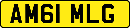 AM61MLG