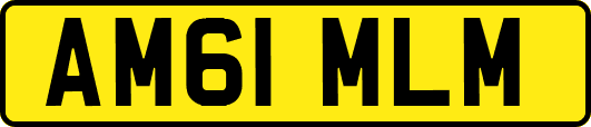 AM61MLM