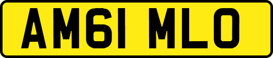 AM61MLO