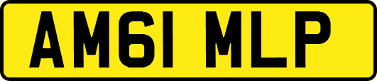 AM61MLP