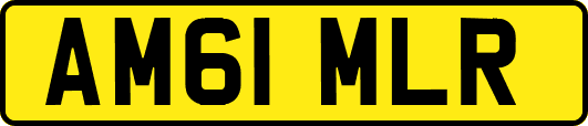 AM61MLR