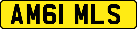 AM61MLS