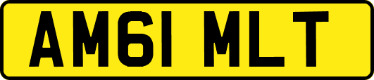 AM61MLT
