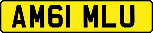 AM61MLU