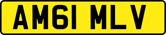 AM61MLV