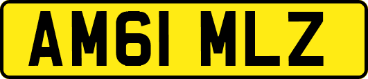 AM61MLZ