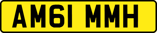 AM61MMH