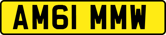AM61MMW