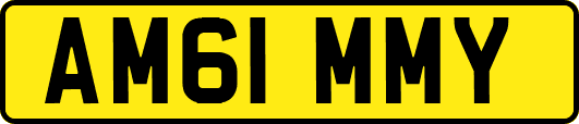 AM61MMY