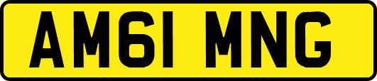AM61MNG