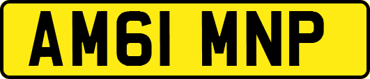 AM61MNP