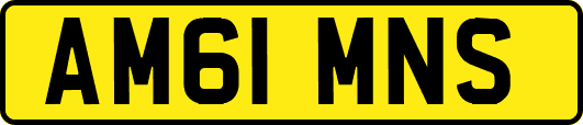 AM61MNS