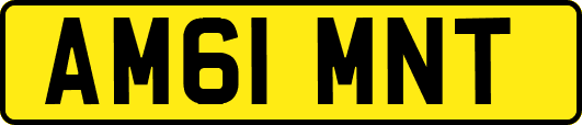 AM61MNT