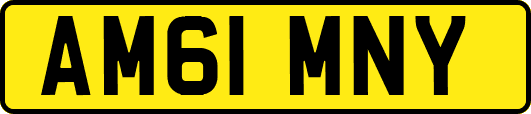AM61MNY