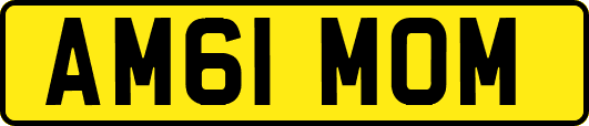 AM61MOM