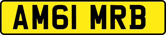 AM61MRB