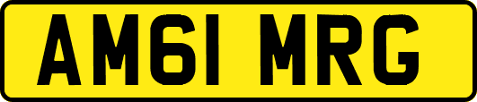 AM61MRG